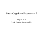 Basic Cognitive Processes