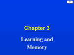 Chapter 3: Learning and Memory