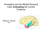 Human MTL Lesions: Evidence Against the PM Hypothesis