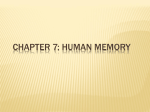 Chapter 7: Human Memory