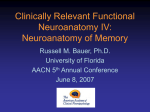 Clinically Relevant Functional Neuroanatomy