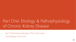 Etiology & Pathophysiology of Chronic Kidney Disease