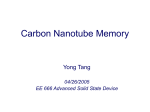 Carbon Nanotube Memory