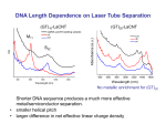 DNA Length Dependence on Laser Tube Separation