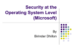 Security at the Operating System Level (Microsoft)