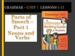 Grammar * Unit 1 Lessons 1-17