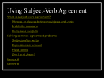 Using Subject-Verb Agreement