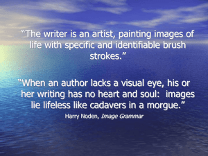 “When an author lacks a visual eye, his or her writing has no