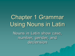 Chapter 1 Grammar