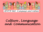 340-Culture-and-Communication