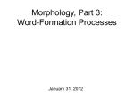 7-MorphologyIII - The Bases Produced Home Page