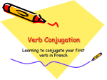 Verb Conjugation