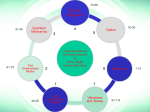 Chemistry with Physics Structure for Quiz