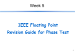 IEEE Floating Point Instructions