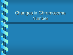 Chromosome Number Changes