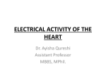 Electrical Activity of Heart