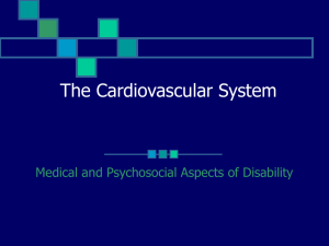 The Cardiovascular System