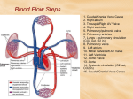 Review: Blood Flow Through the Heart, Pulmonary, and