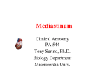 Cardiovascular: Heart - Misericordia University