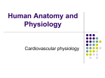 Comparative Vertebrate Physiology