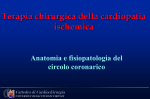 Cardiochirurgia universitaria