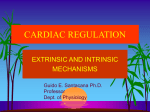 EXTRINSIC INNERVATION OF THE HEART