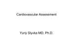Cardiovascular Assessment