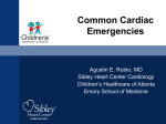 Basic Cardiovascular System and Pathological Abnormalities