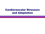 Ventricular Septal Defect