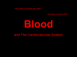 Anatomy_and_Physiology_files/Blood and cardio