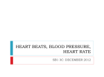 heart beats, blood pressure, heart rate