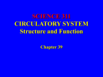 SCIENCE 311 CIRCULATORY SYSTEM Structure and Function