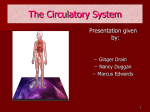 The Circulatory System