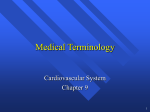 Medical Terminology