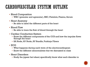 Cardiovascular System Outline 2014