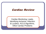 Cardiac Review