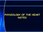 Physiology of the Heart PPT