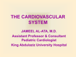 THE CARDIOVASCULAR SYSTEM