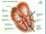 ELECTROCARDIOGRAM