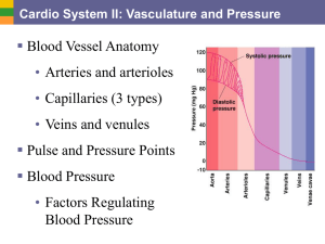 3b CardioII-Vasculature