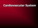 TPJ 3C1 Cardiovascular System