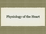 Heart Physiology part 1