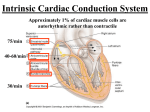 BIO 1414 Human Anatomy & Physiology II