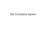 The Circulatory System