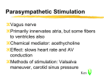 cardiac electrphysiology