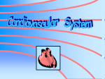 CARDIOVASCULARSYSTEM_for_15.10.08