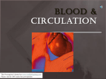 Blood & circulation