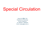 Coronary circulation