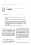 Effect of  pavetamine on  protein  synthesis and R.A.
