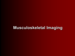 Musculoskeletal Pt.1